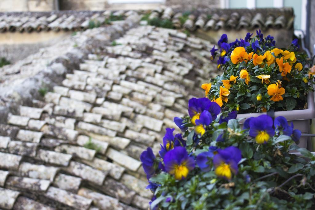 Le Violette Vila Matera Exterior foto